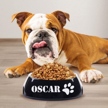 2509251141096894281799061074046403979874206n